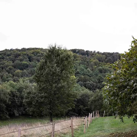 Affittacamere Maison Bellamant