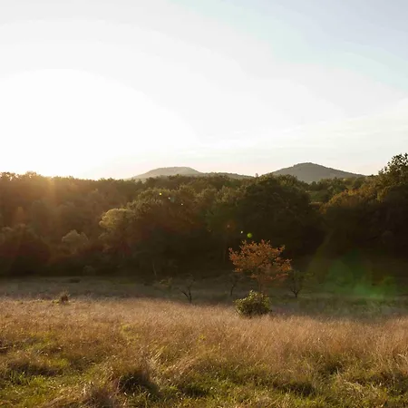 Maison Bellamant Affittacamere Alan