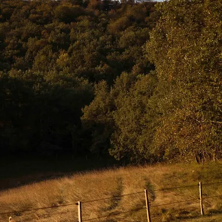 Maison Bellamant Gæstehus