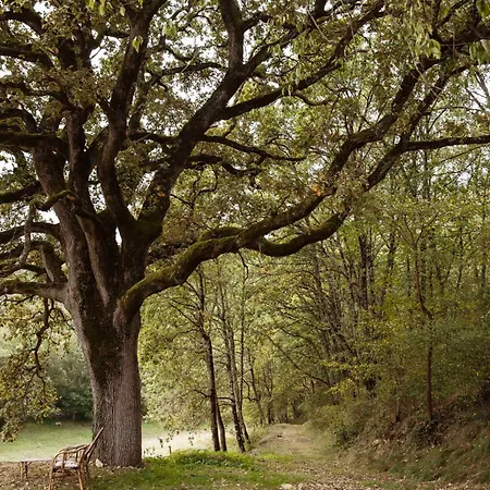 Maison Bellamant Affittacamere Alan